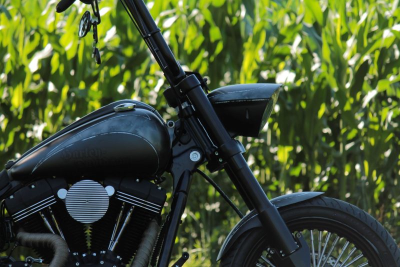 Dyna Custom – Bild 2