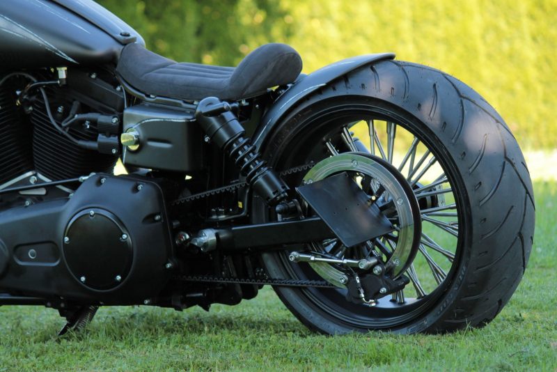 Dyna Custom – Bild 3